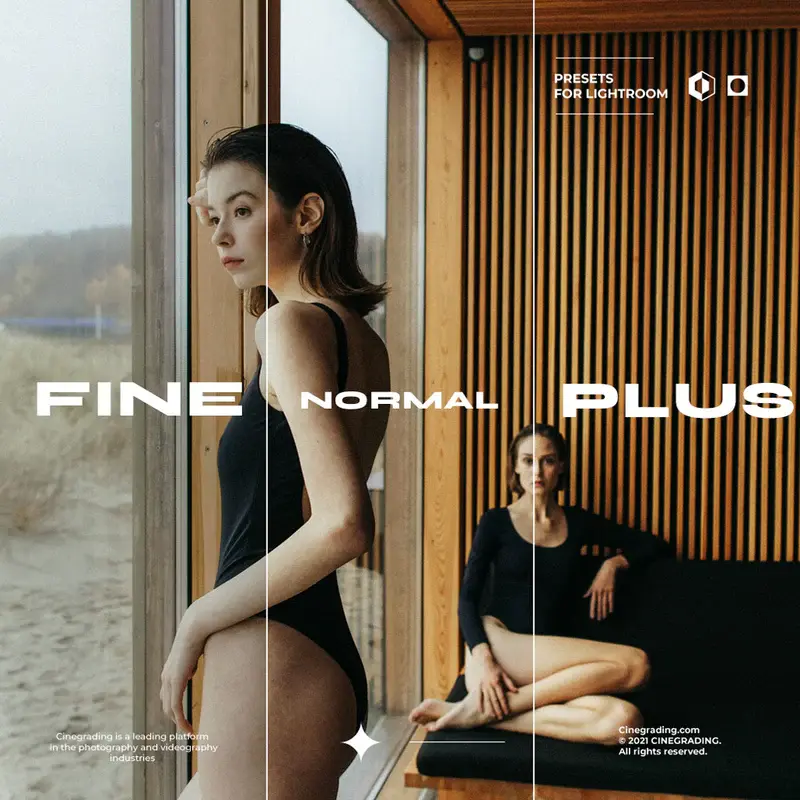 Cine FilmX Presets (2).webp