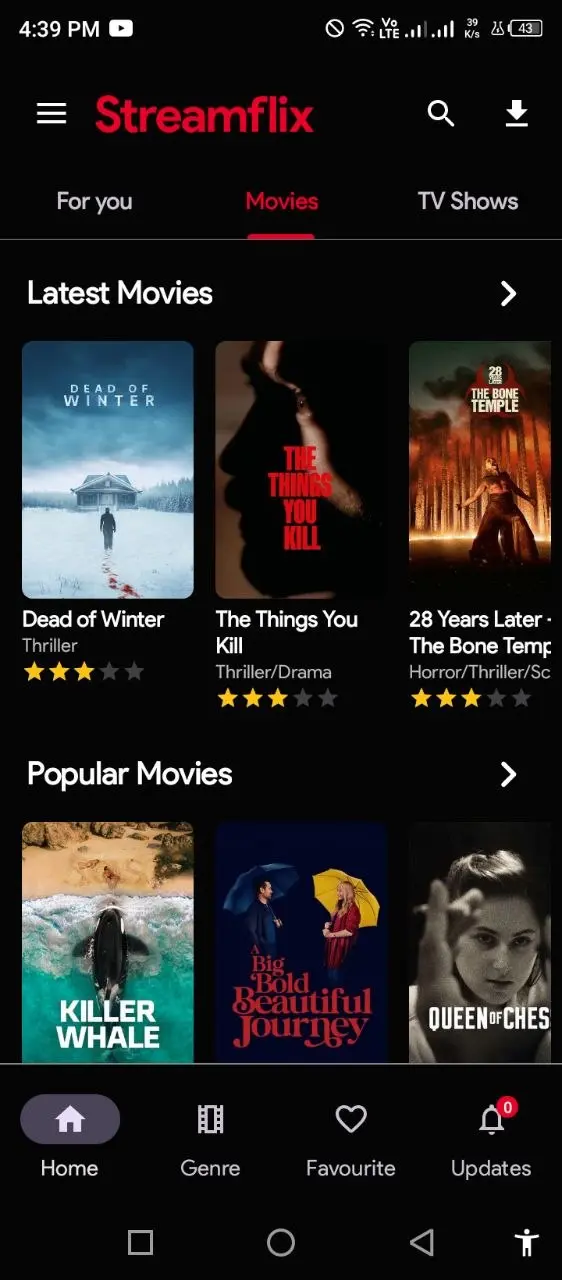 Streamflix (2).webp