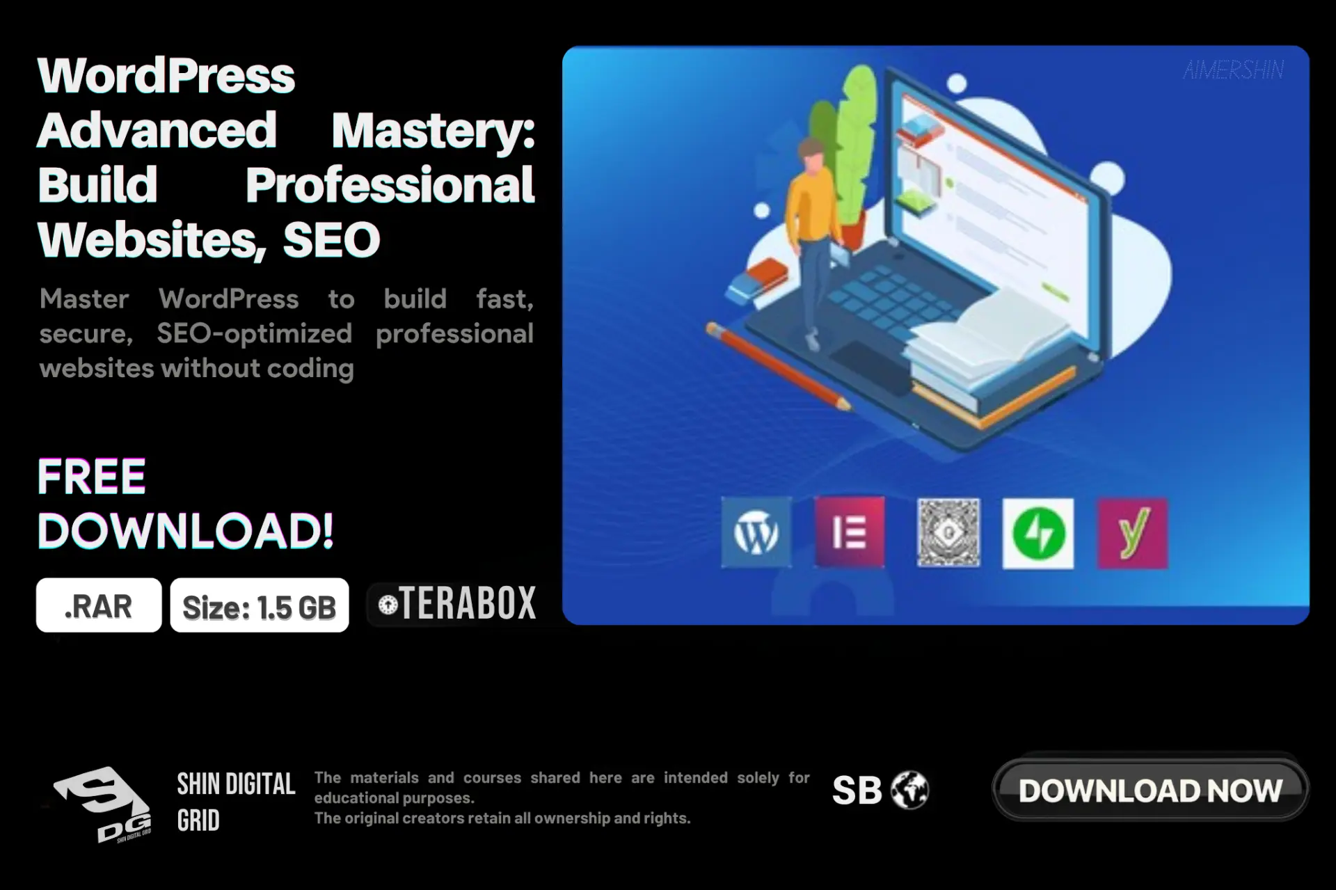 WordPress Advanced Mastery_ Build Professional Websites, SEO.webp