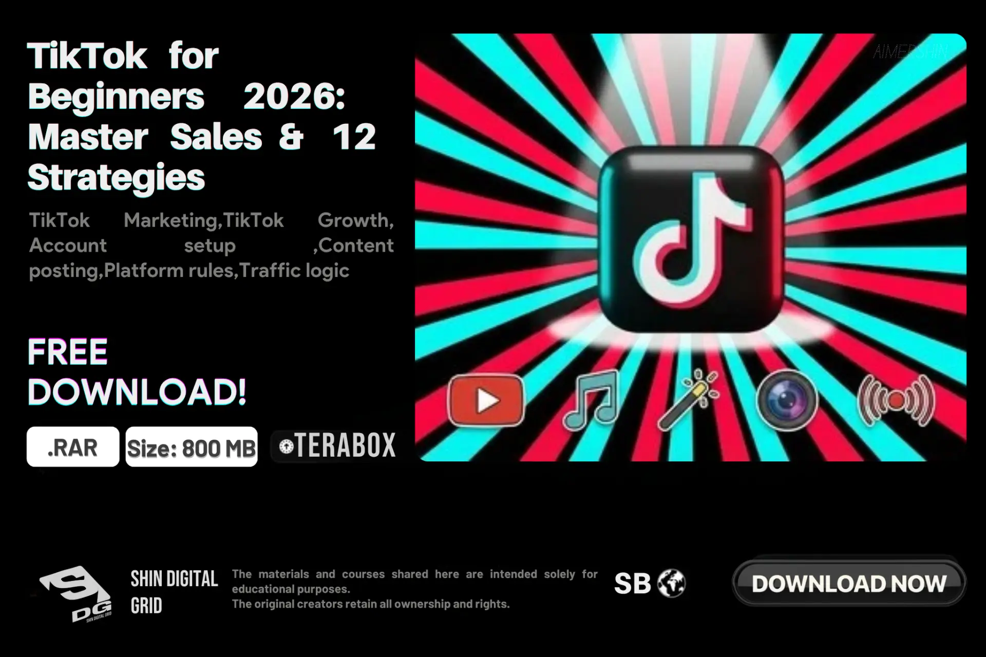 TikTok for Beginners 2026_ Master Sales & 12 Strategie.webp