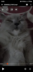 hmbtxi.webp