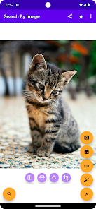 zn123o.webp