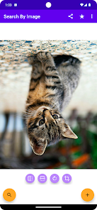 ijdtf5.webp
