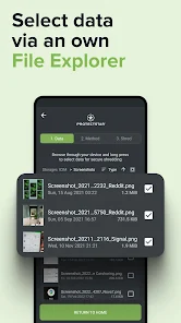 zmlnz8.webp