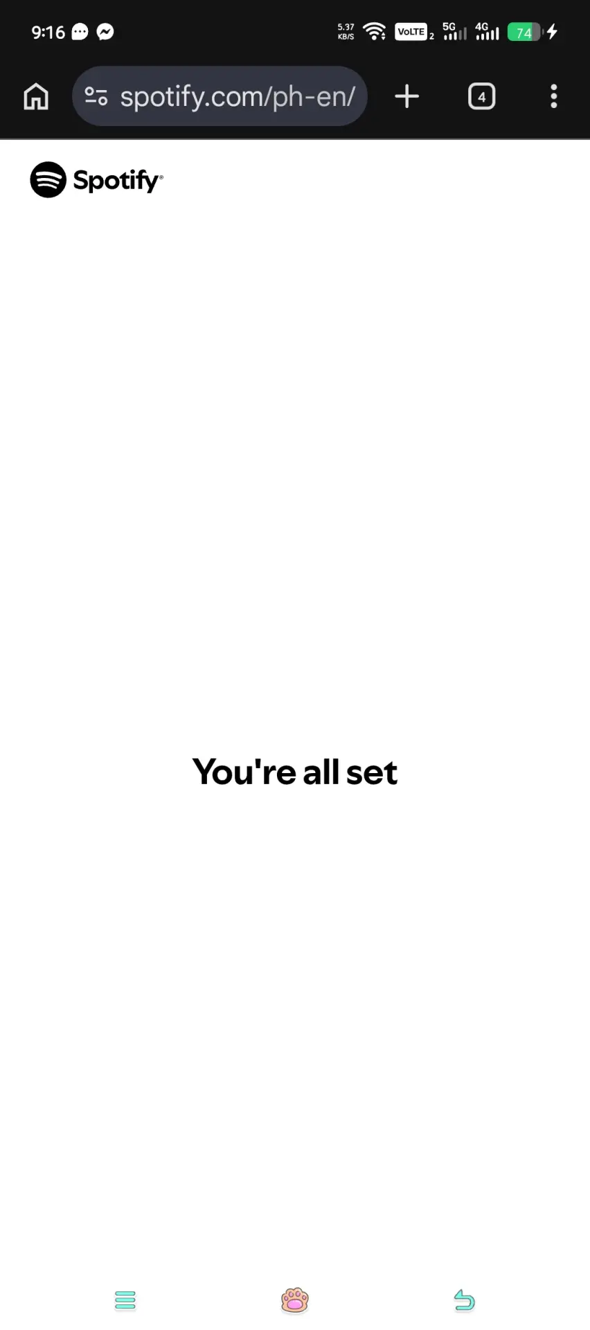 2133.webp