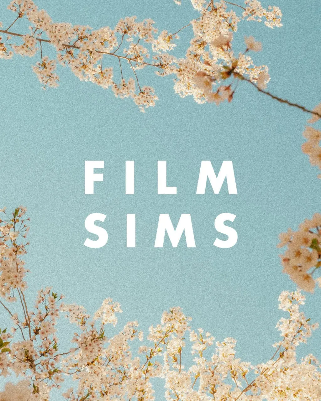 AV Film Sims (3).webp