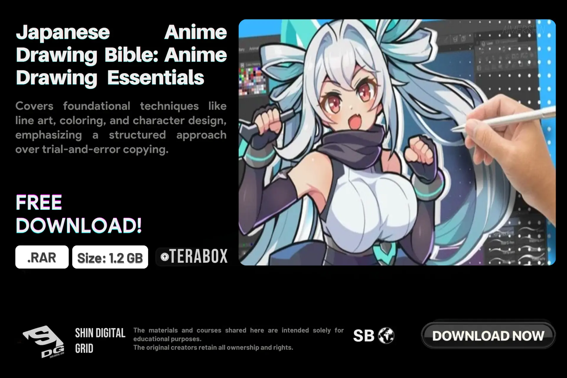 Japanese Anime Drawing Bible.webp