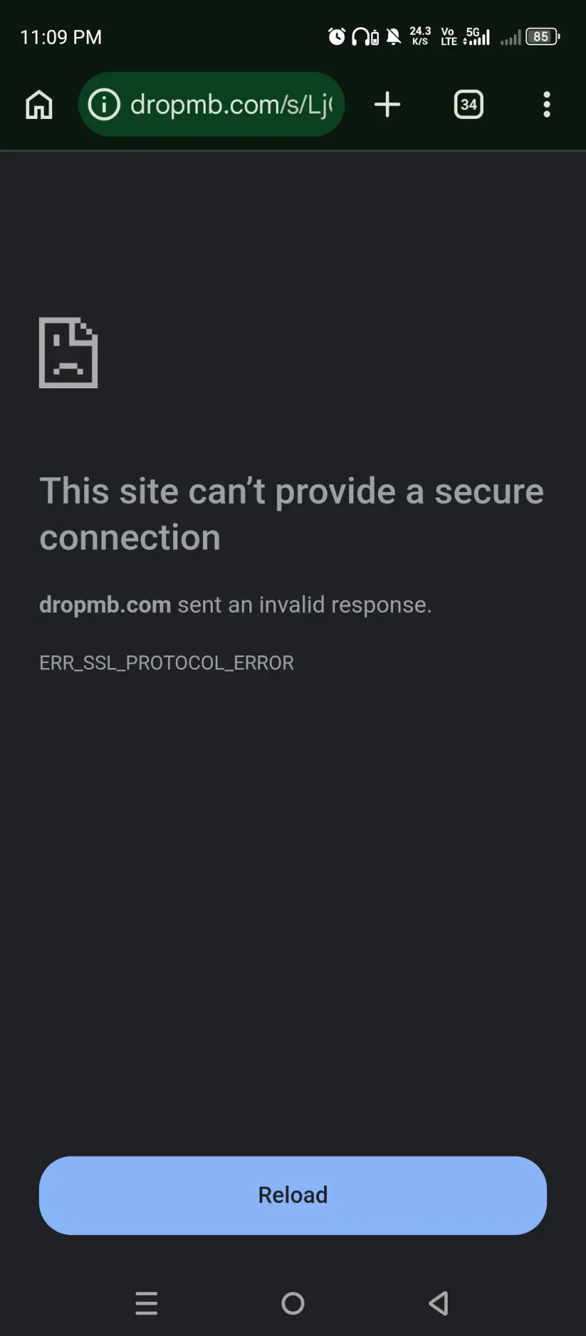 1000039055.webp