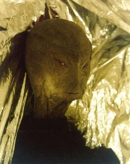 Reed_Alien_hoax.webp