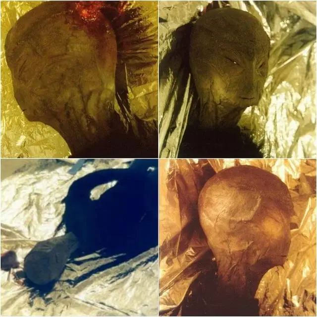 jonathan-reed-alien-v0-37st6g421uzb1.webp