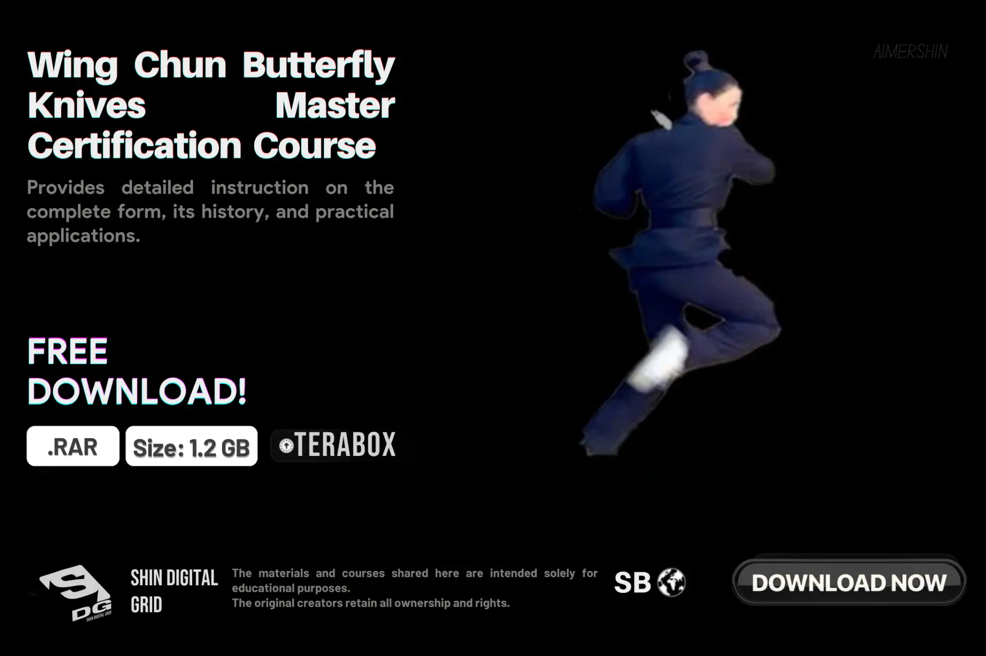 Wing Chun Butterfly Knives Master.webp