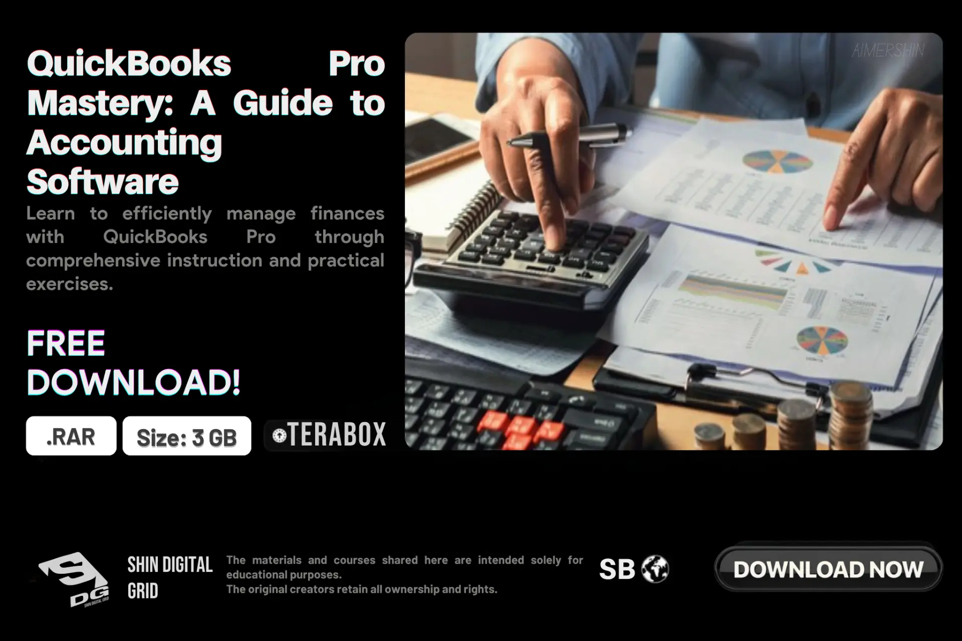 QuickBooks Pro Mastery.webp