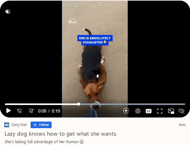 1776056755660.webp