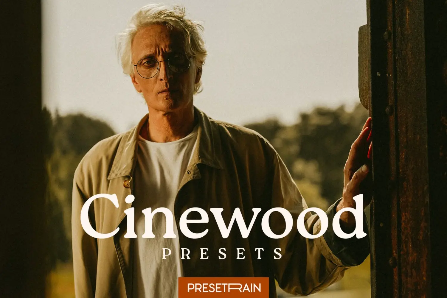 Cinewood Preset.webp