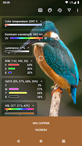 image-webp.webp