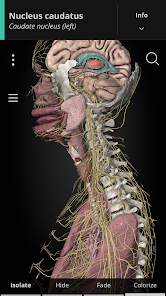 image-webp.webp