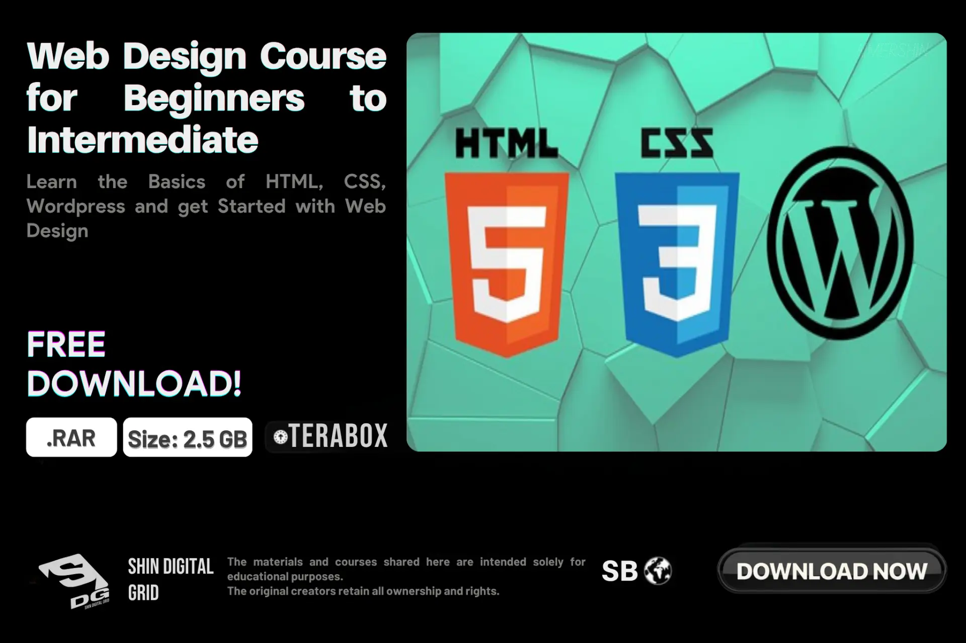 Web Design Course for Beginners.webp