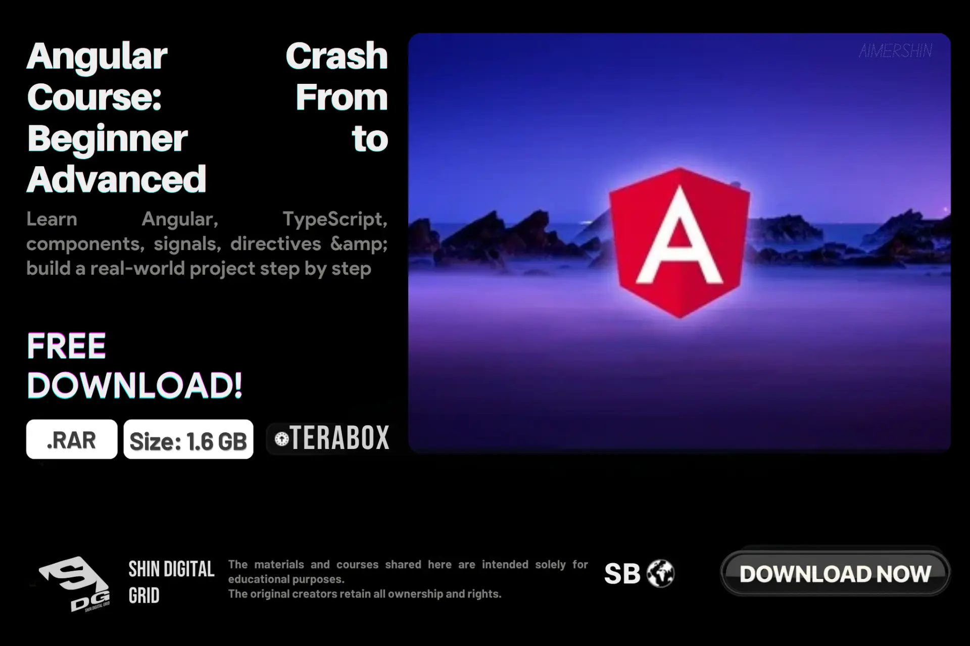 Angular Crash Course.webp