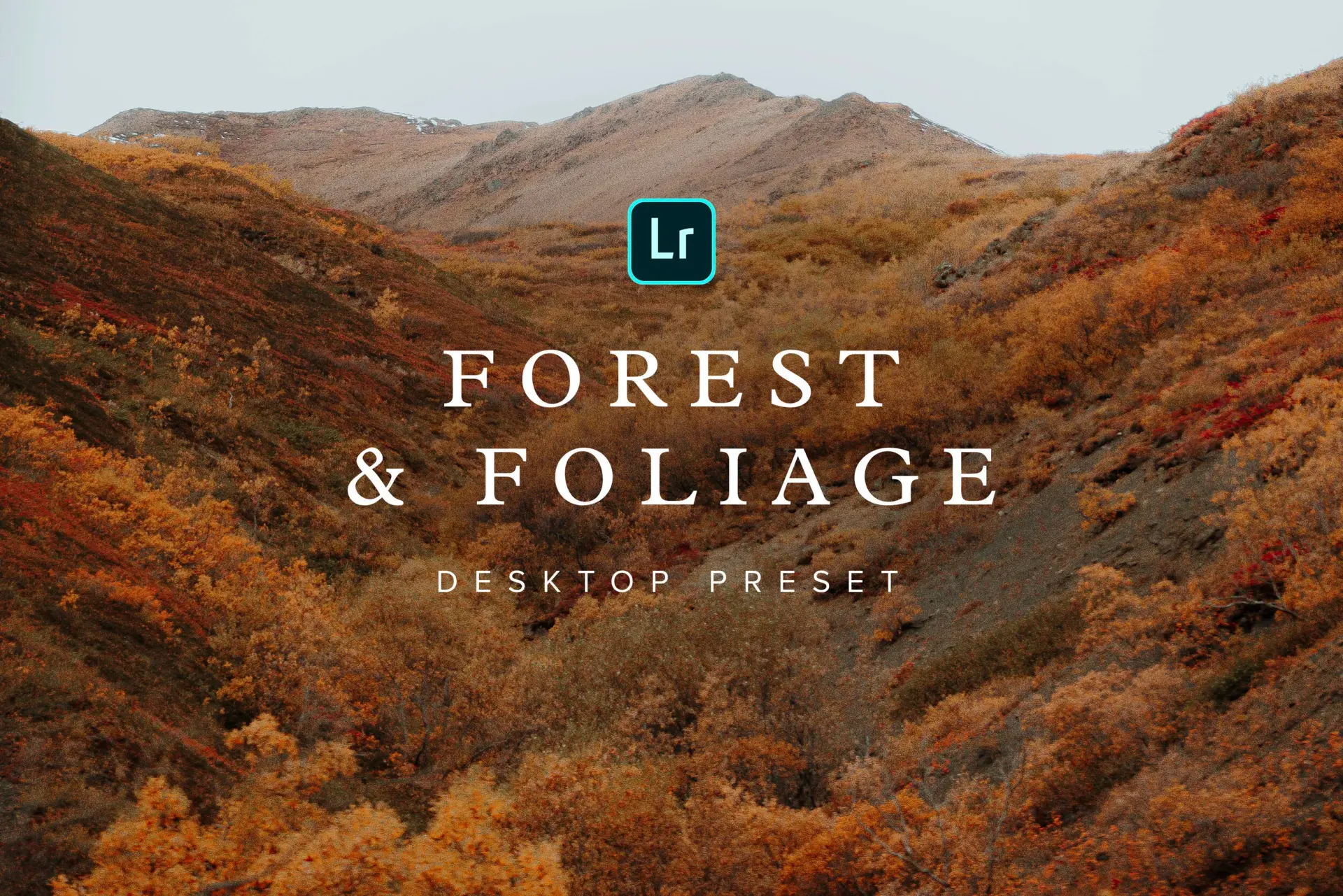Forest & Foliage Preset_ChrisHenry (3).webp