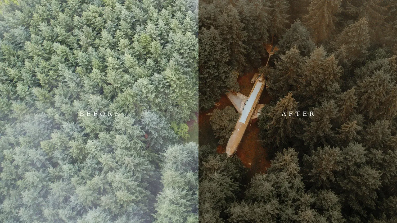Forest & Foliage Preset_ChrisHenry (1).webp