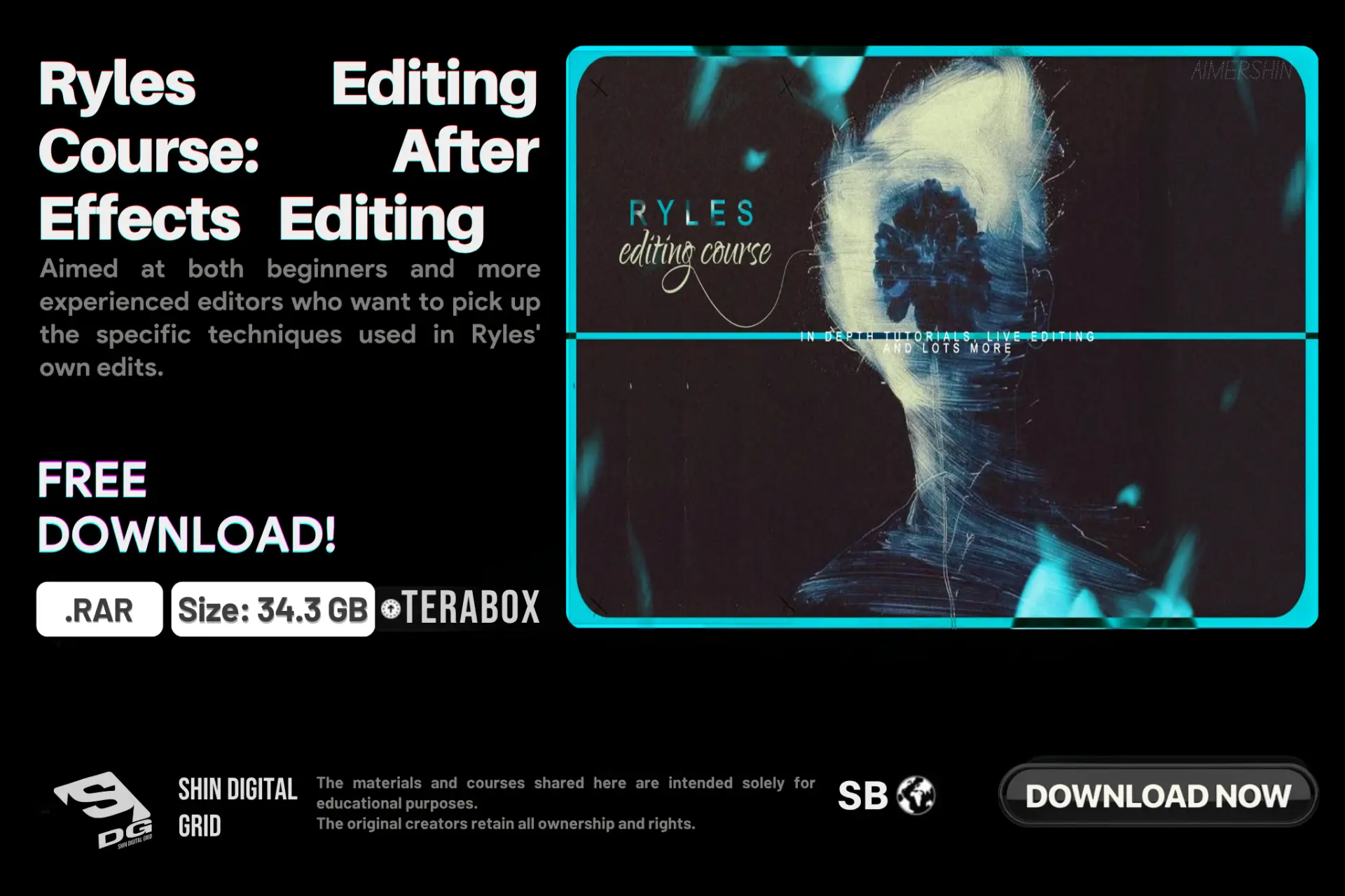 Ryles Editing Course.webp