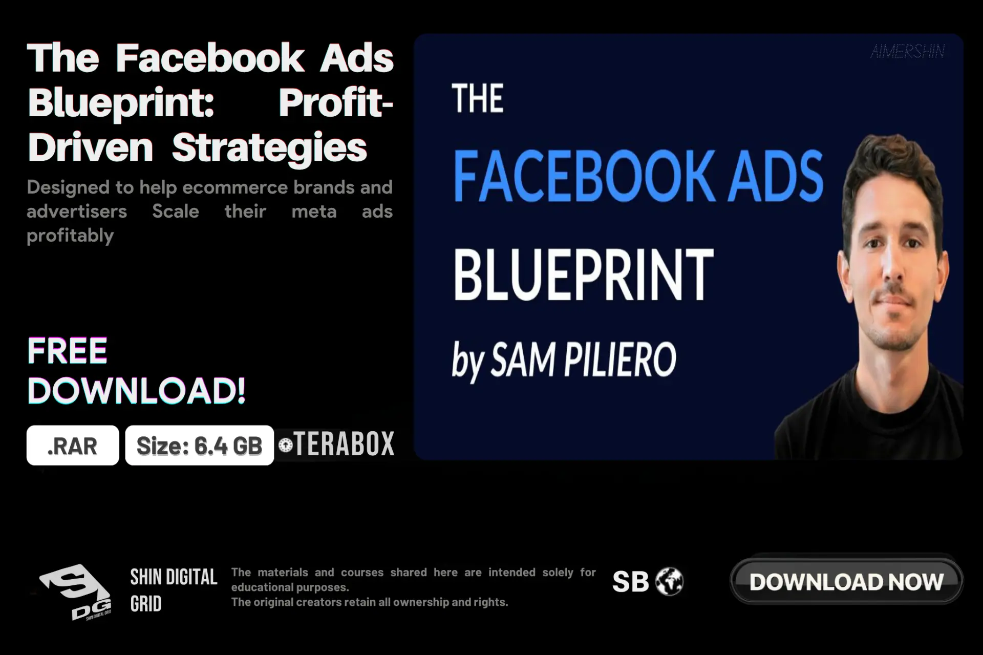 The Facebook Ads Blueprint.webp