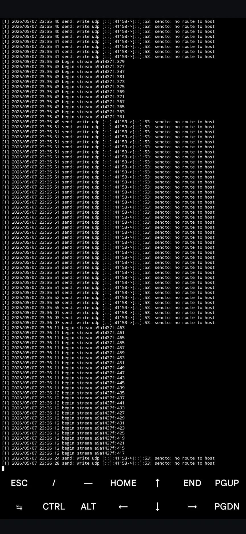 1000000263.webp