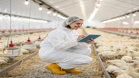 Broiler Farming: Start & Run a Profitable Poultry Business