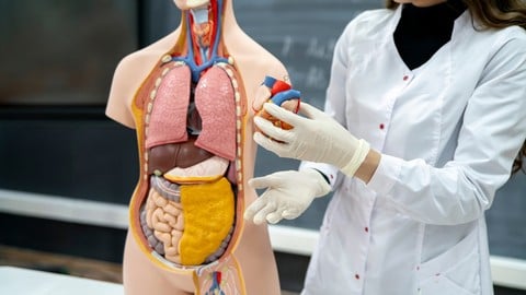 [UDEMY] Medical Coding Part 2: CPT Coding & Medical Billing Basics