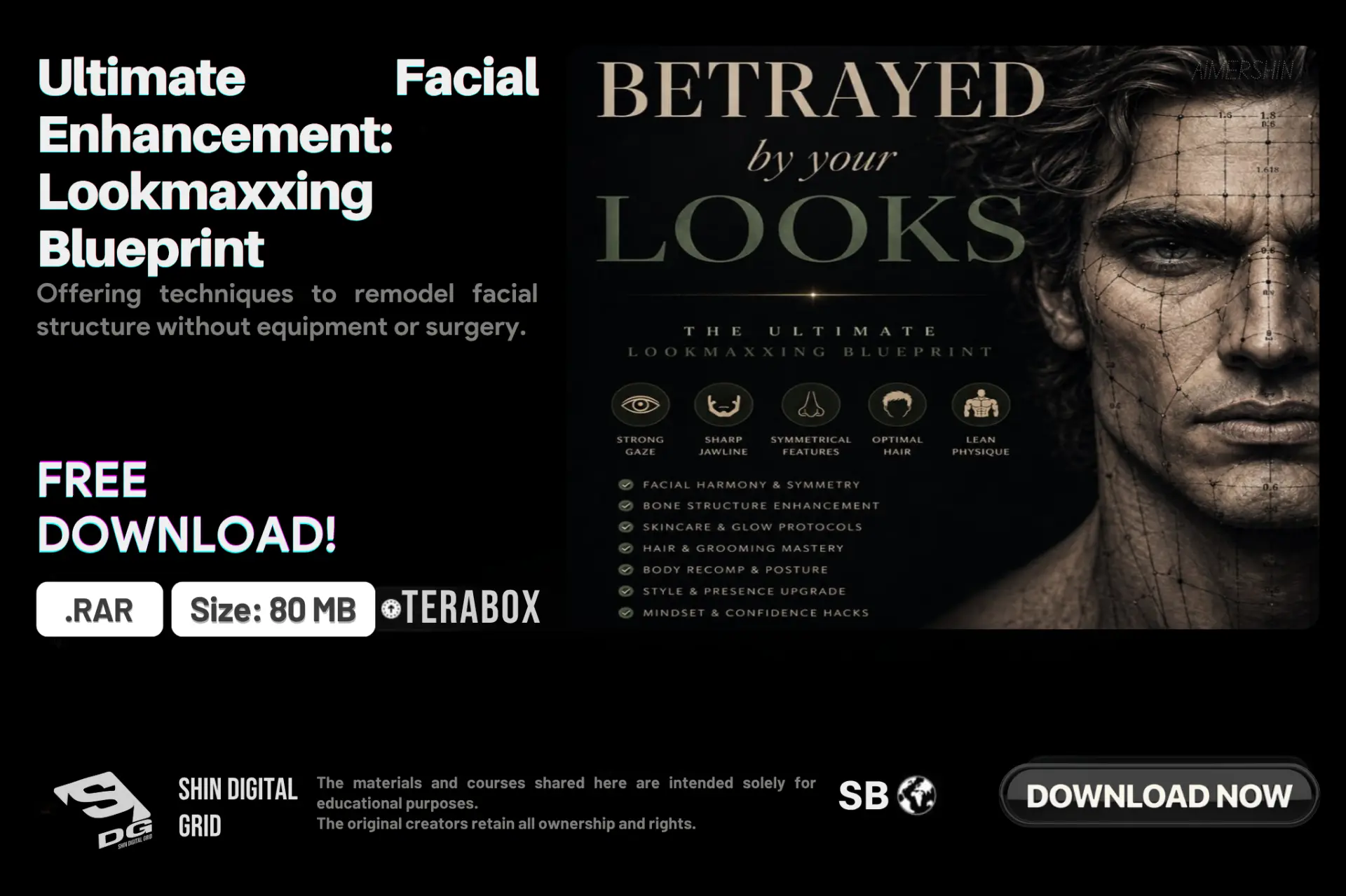 Ultimate Facial Enhancement Course.webp