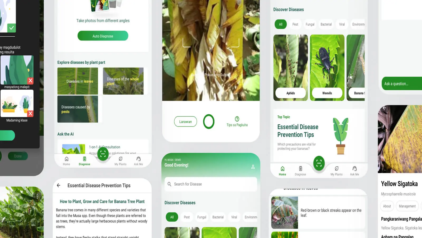 musa-app-java-leiikun.webp