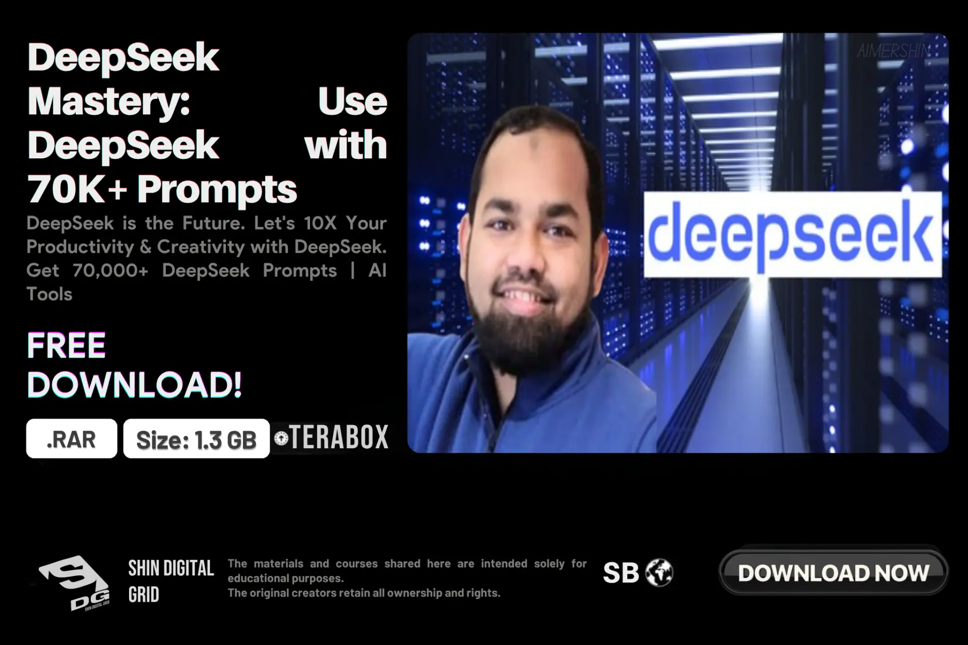 DeepSeek Mastery.webp