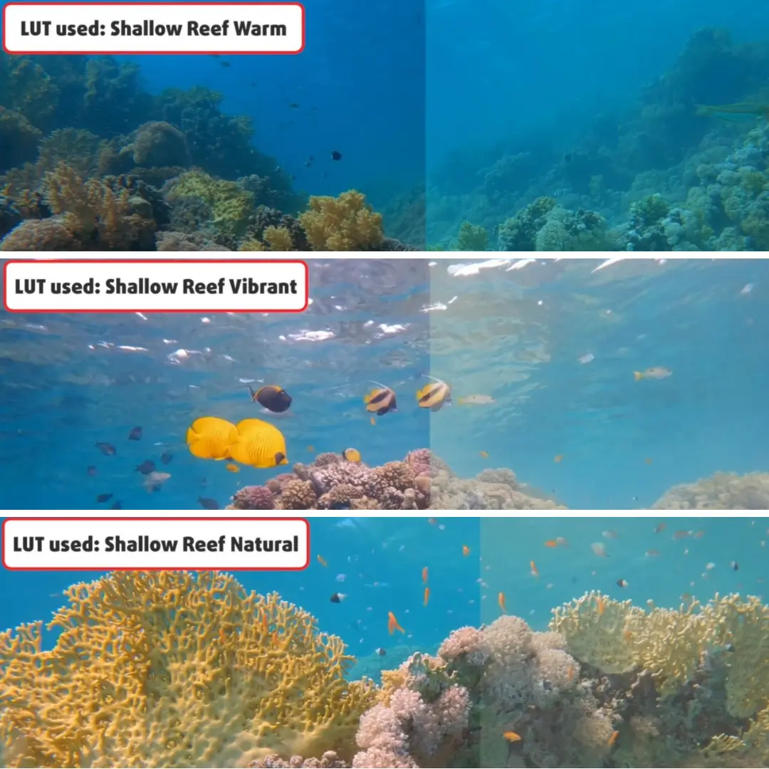 BASIC LUT PACK FOR GOPRO.webp