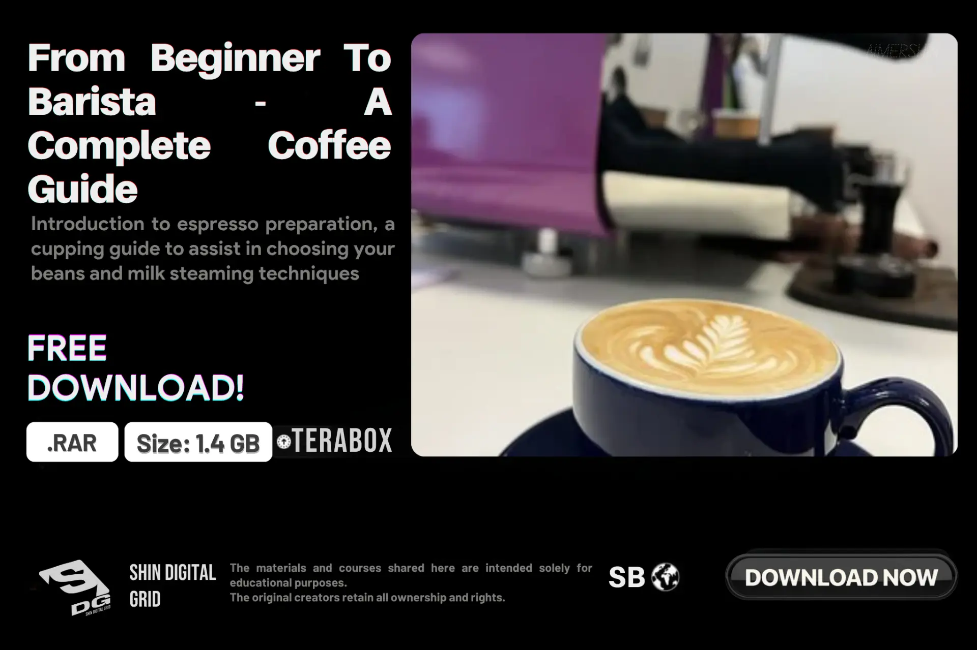 From Beginner To Barista.webp