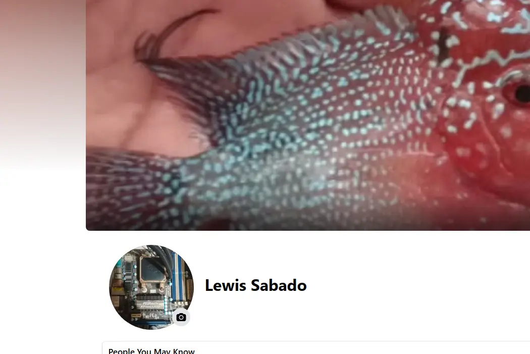 1779030268564.webp