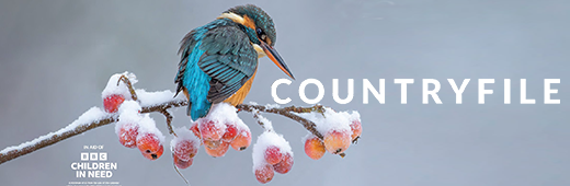 Countryfile S38e20 1080p Web-Dl H264-W0m847