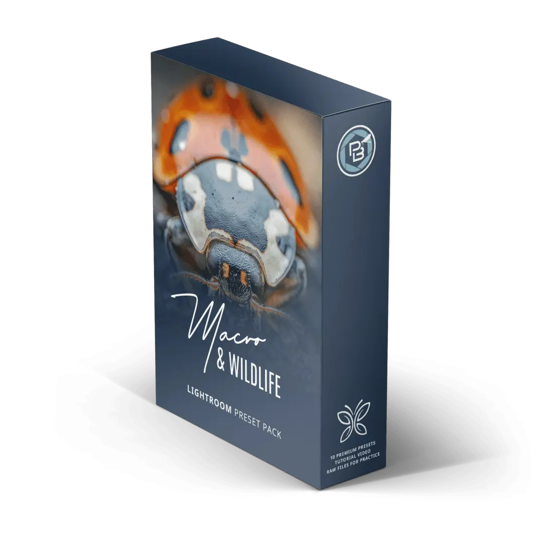 Macro & Wildlife Lightroom.webp