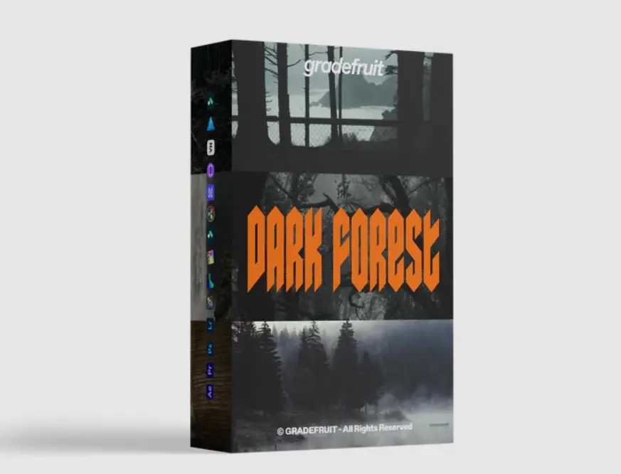 Dark Forest.webp