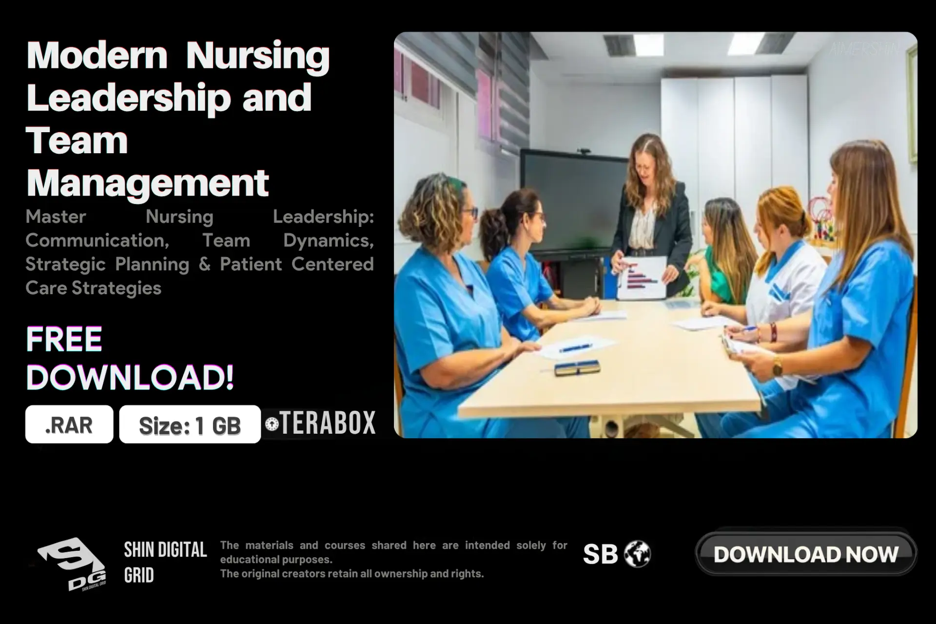 Modern Nursing Leadership.webp
