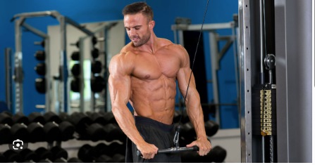 Body Building Guide: Muscle Building For Beginners!