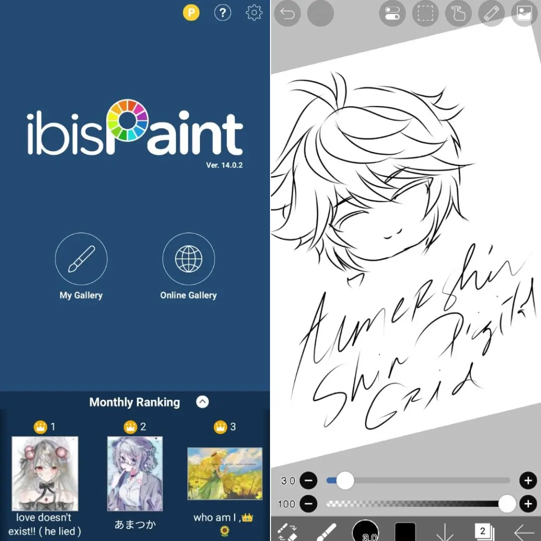 IbisPaint.webp