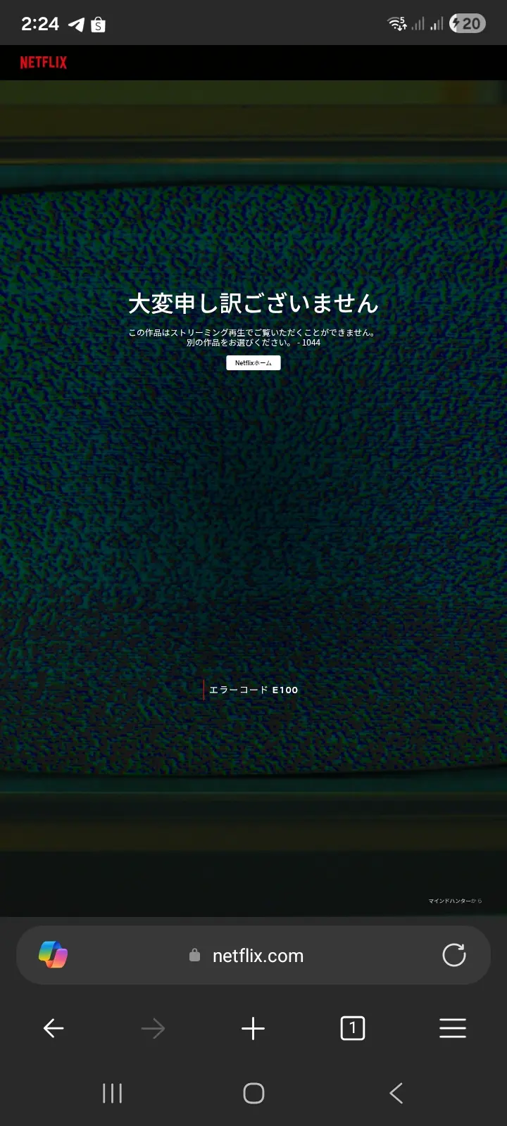 1000006295.webp