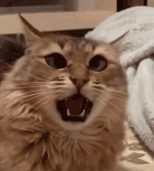 1780107064271.gif