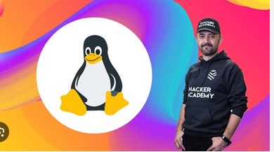 Practical Linux: The Complete Beginner's Course