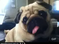 1780309858282.webp