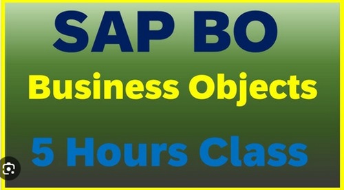 Master Sap Business Objects Web Intelligence (step-By-Step)