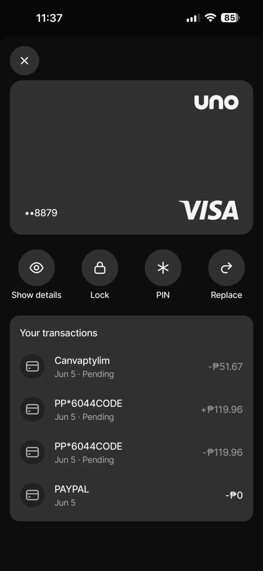 visa details.webp