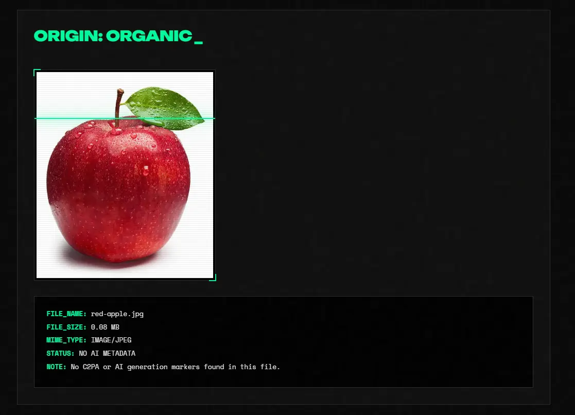 1780995673258.webp