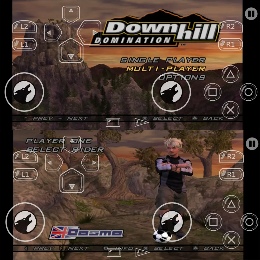 Downhill Domination.webp