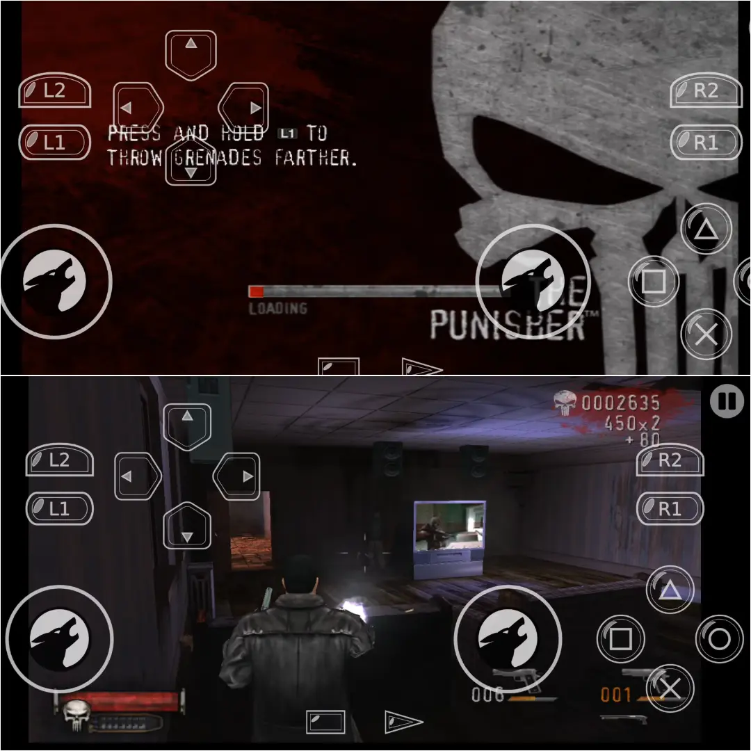The Punisher.webp